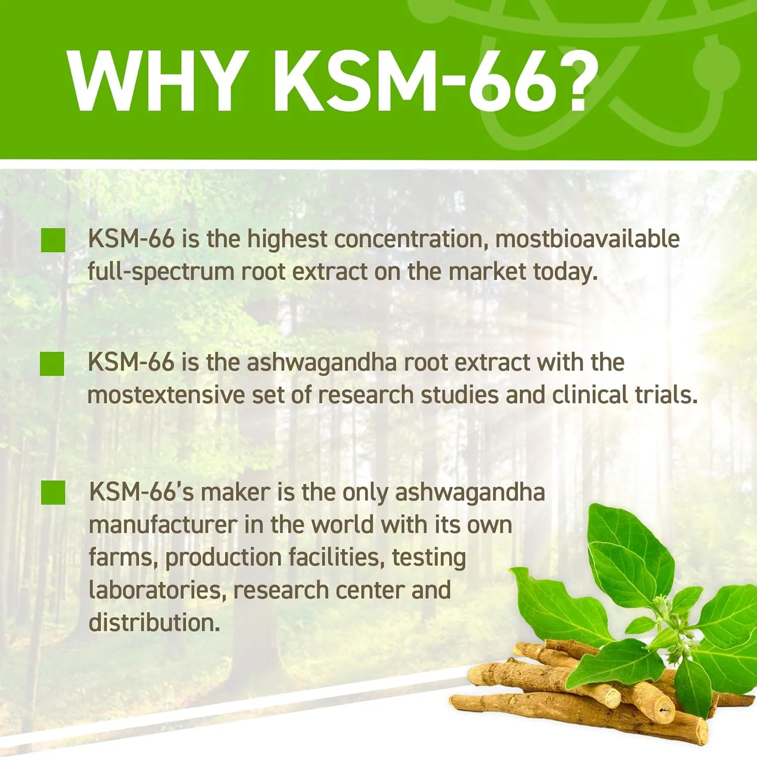 Ashwagandha KSM-66 - Image 4