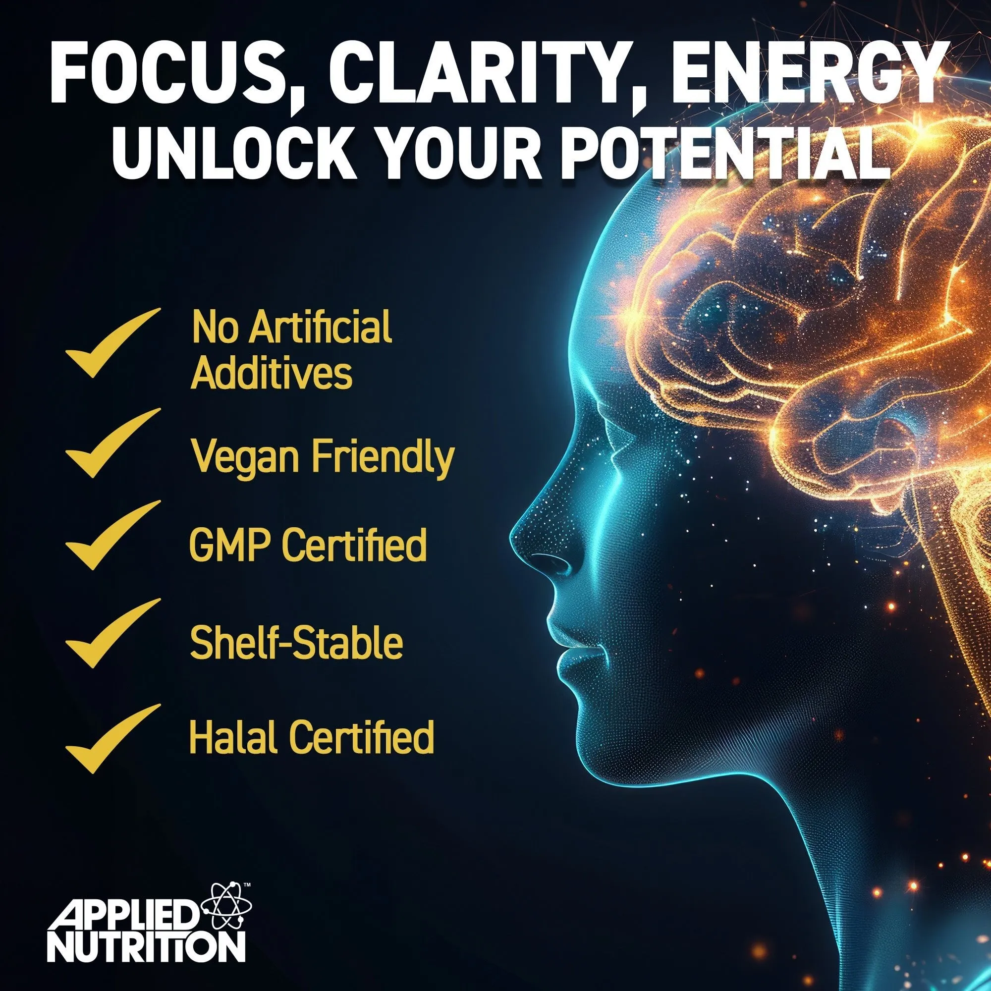 Brain Fuel Capsules (60 Capsules) - Image 3