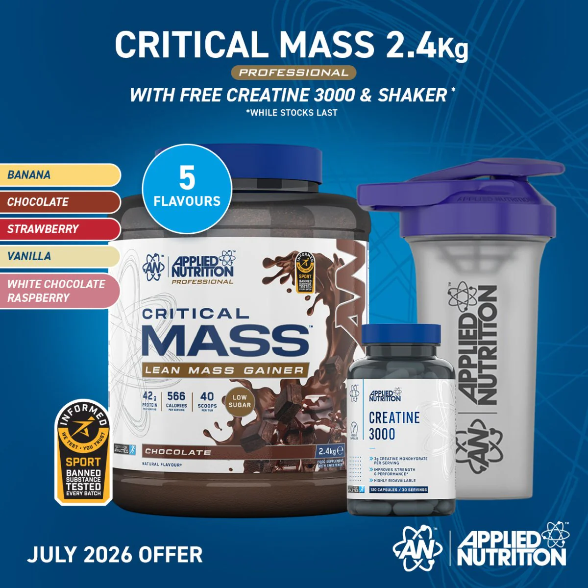Critical Mass Professional - Lean Mass Gainer - Image 12
