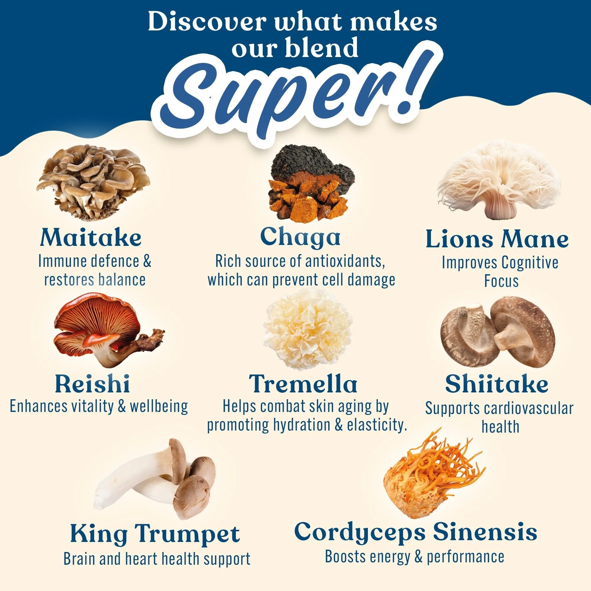 Mushroom Superblend 160g - Image 3