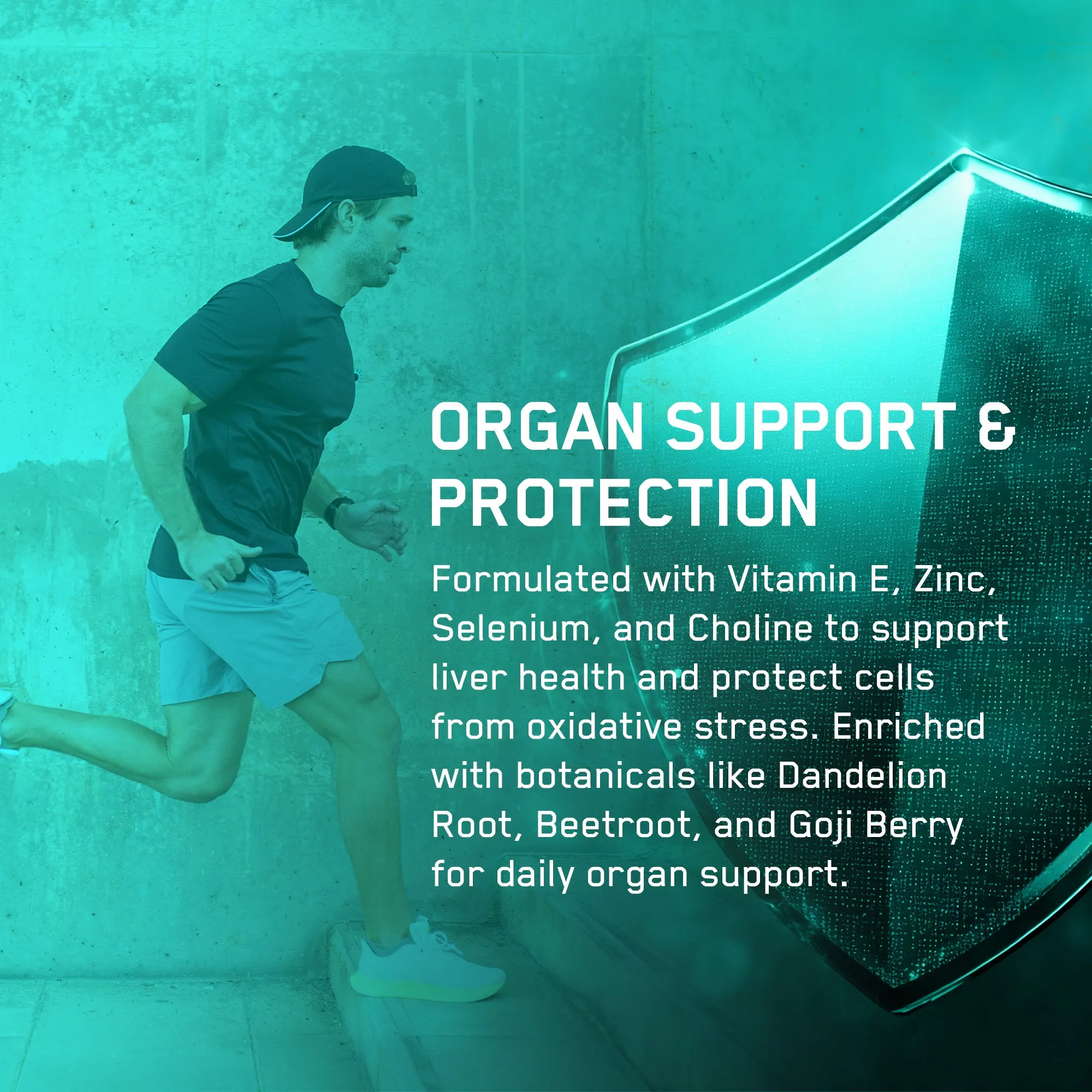 Organ Shield Supplement - Image 8
