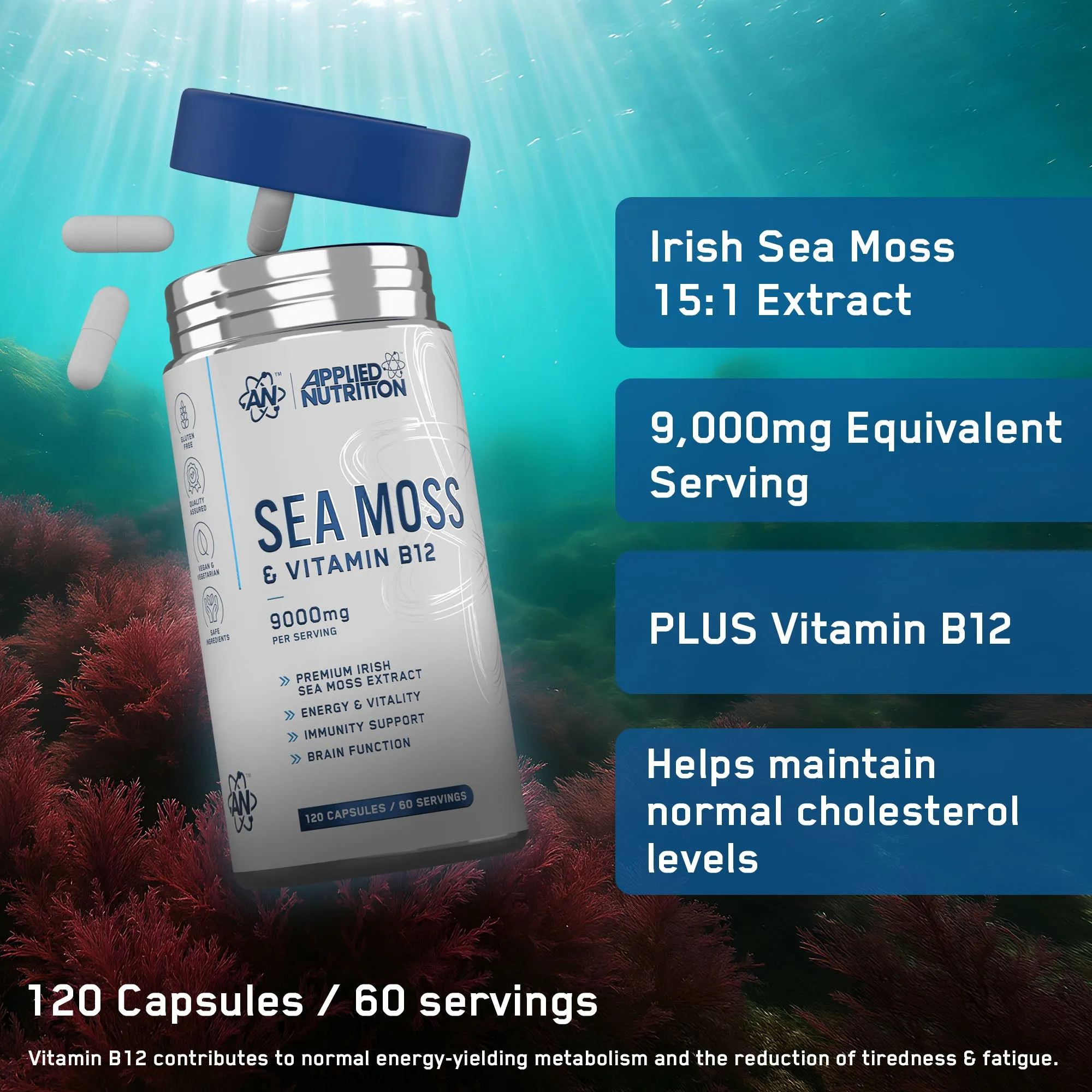 Sea Moss & Vitamin B12 Capsules - Image 2