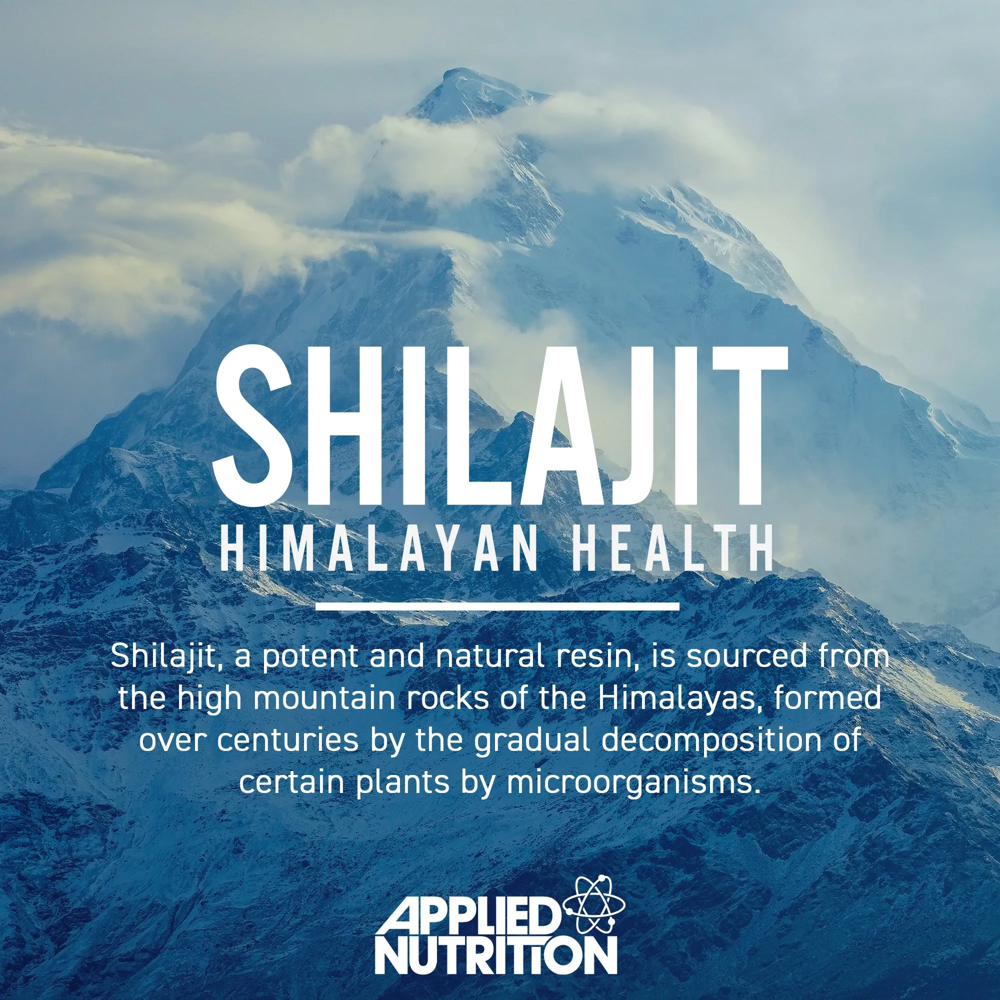 Pure Shilajit Capsules - Image 4